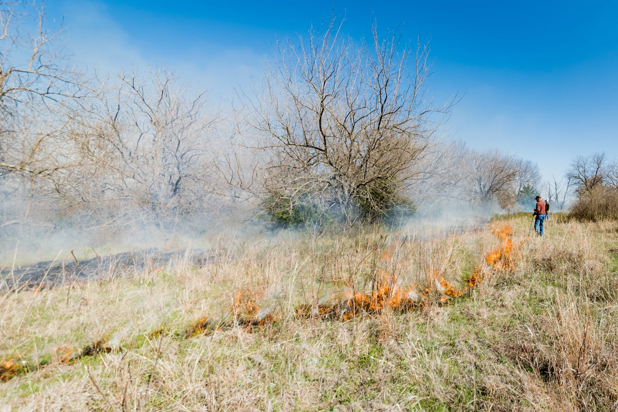 DGawfPhoto-18.jpg