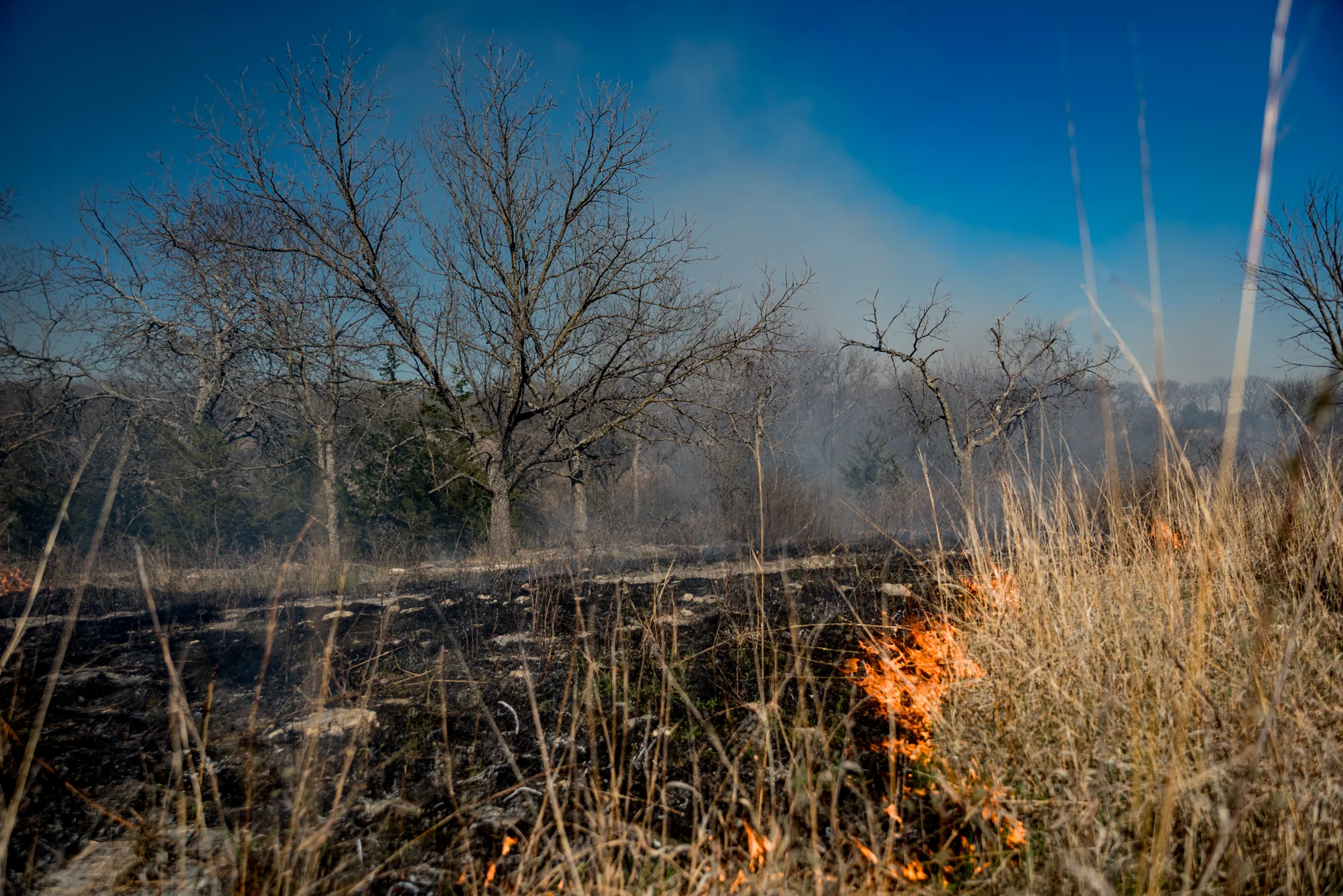 DGawfPhoto-31.jpg