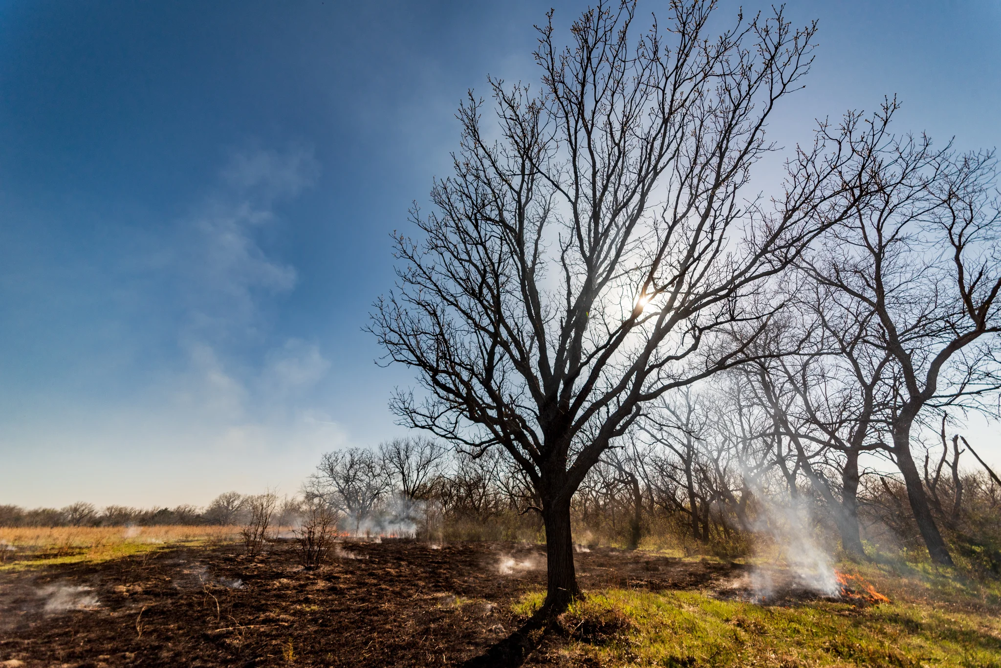 DGawfPhoto-57.jpg