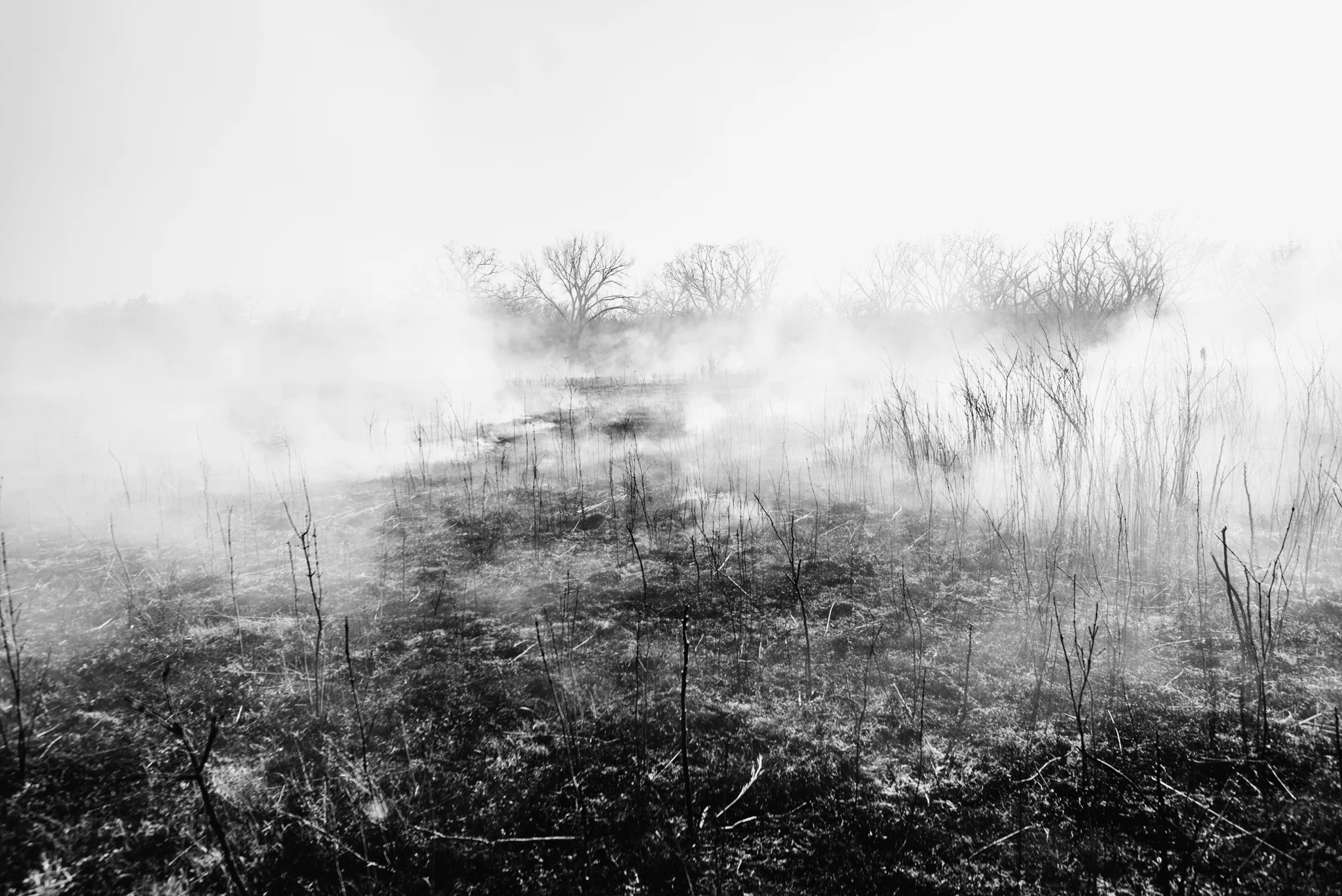 DGawfPhoto-78.jpg