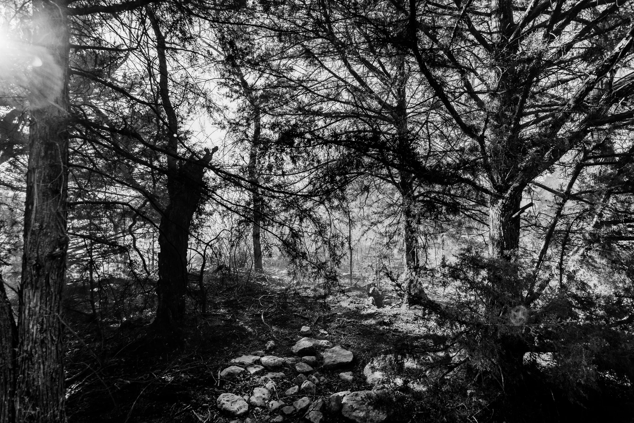 DGawfPhoto-87.jpg