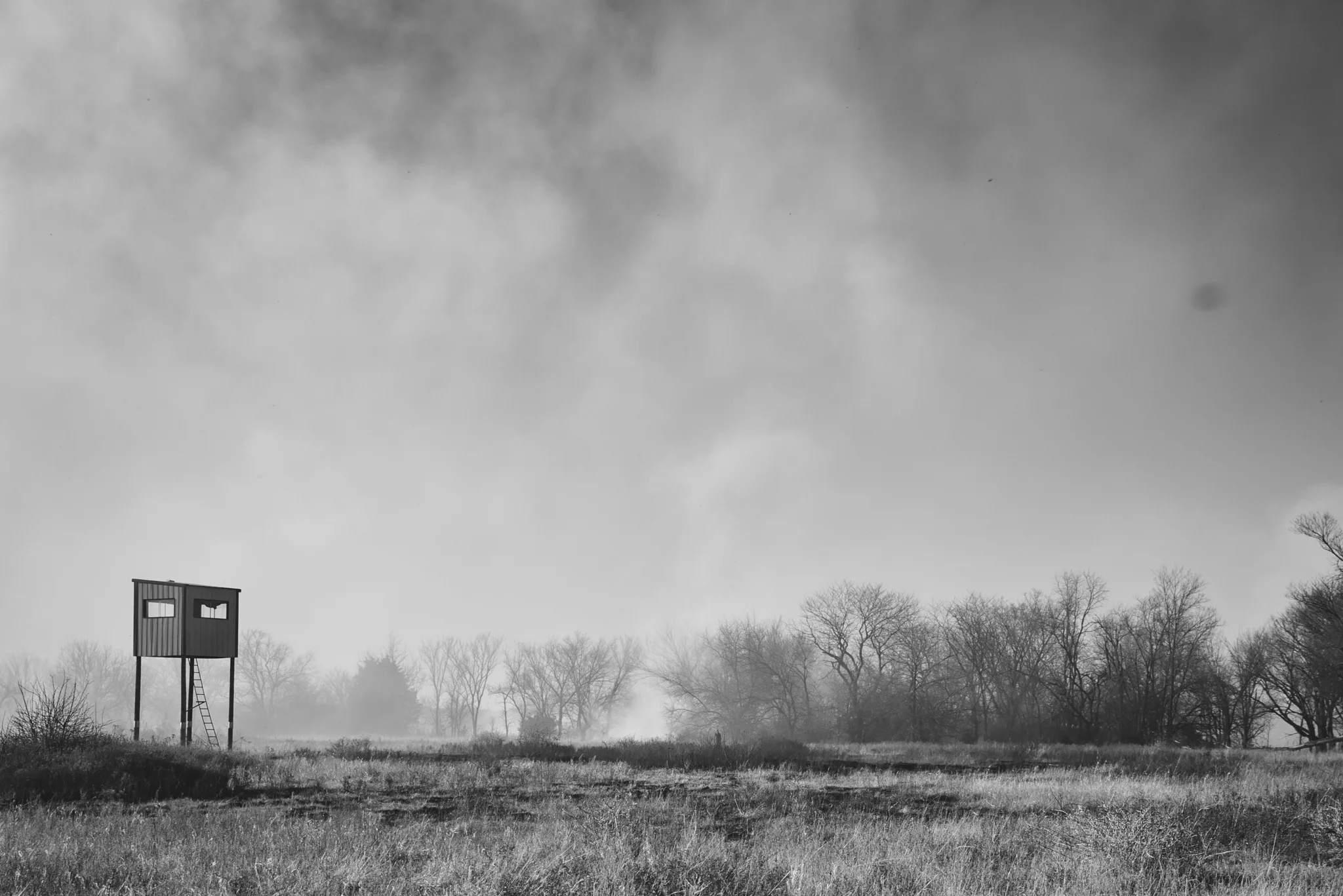 DGawfPhoto-96.jpg