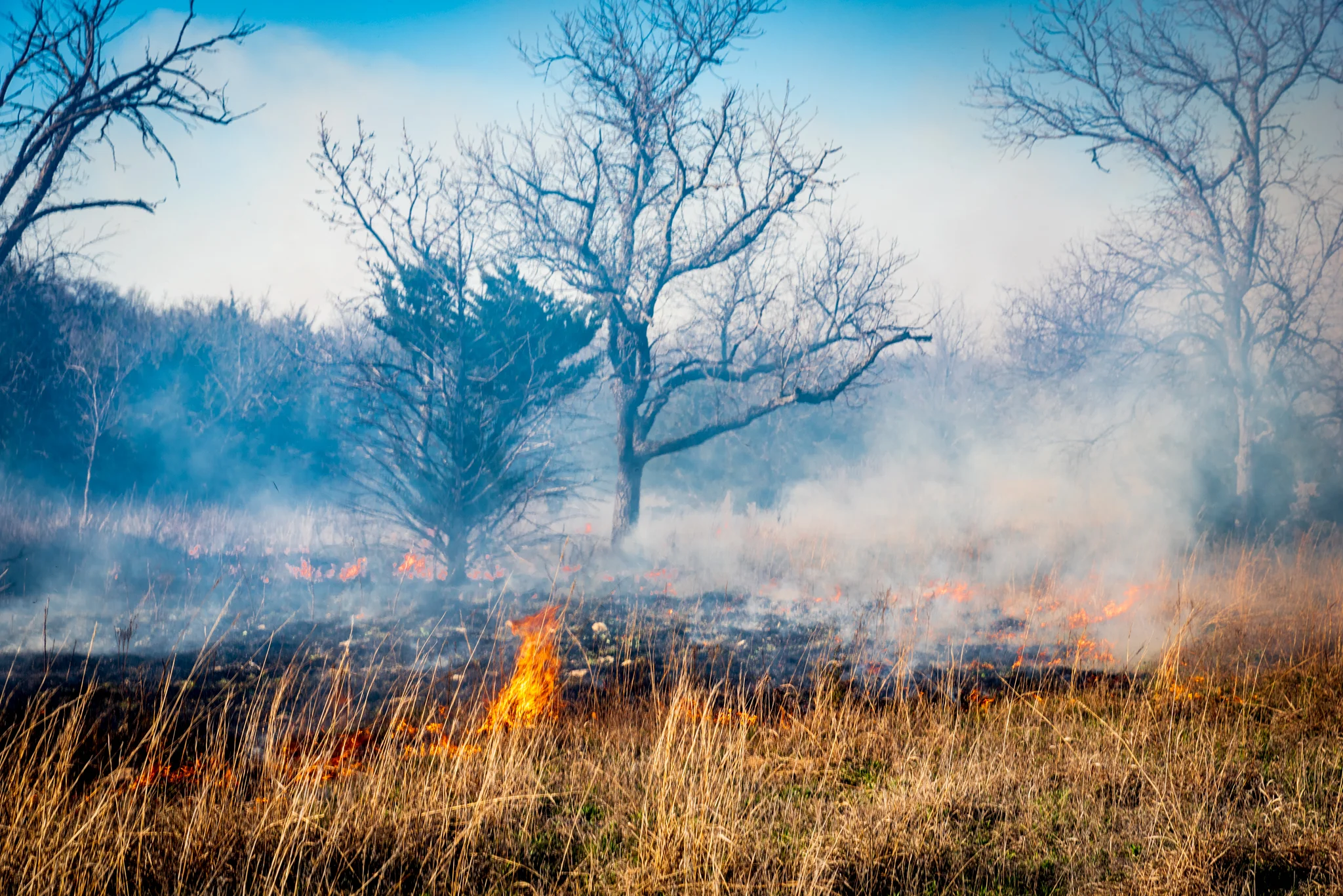 DGawfPhoto-103.jpg