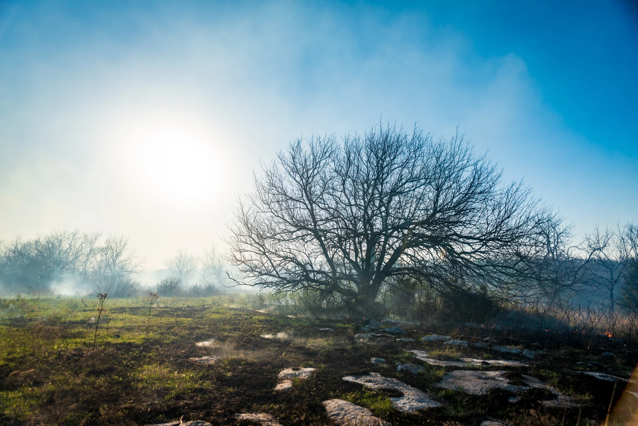 DGawfPhoto-108.jpg