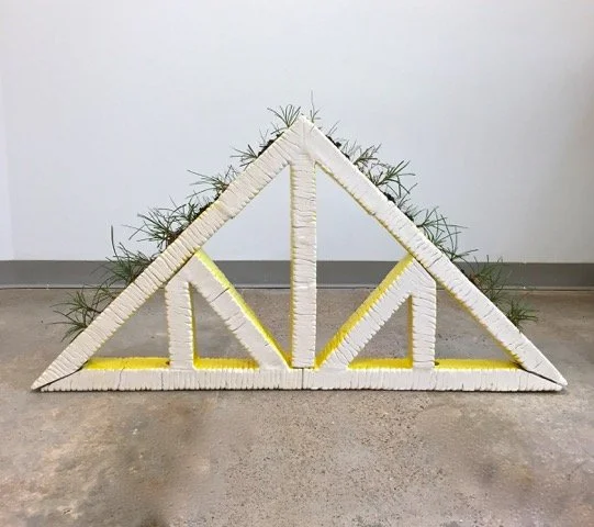 Indoor Garden Olla 1.jpeg