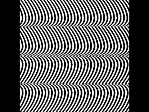 Merzbow