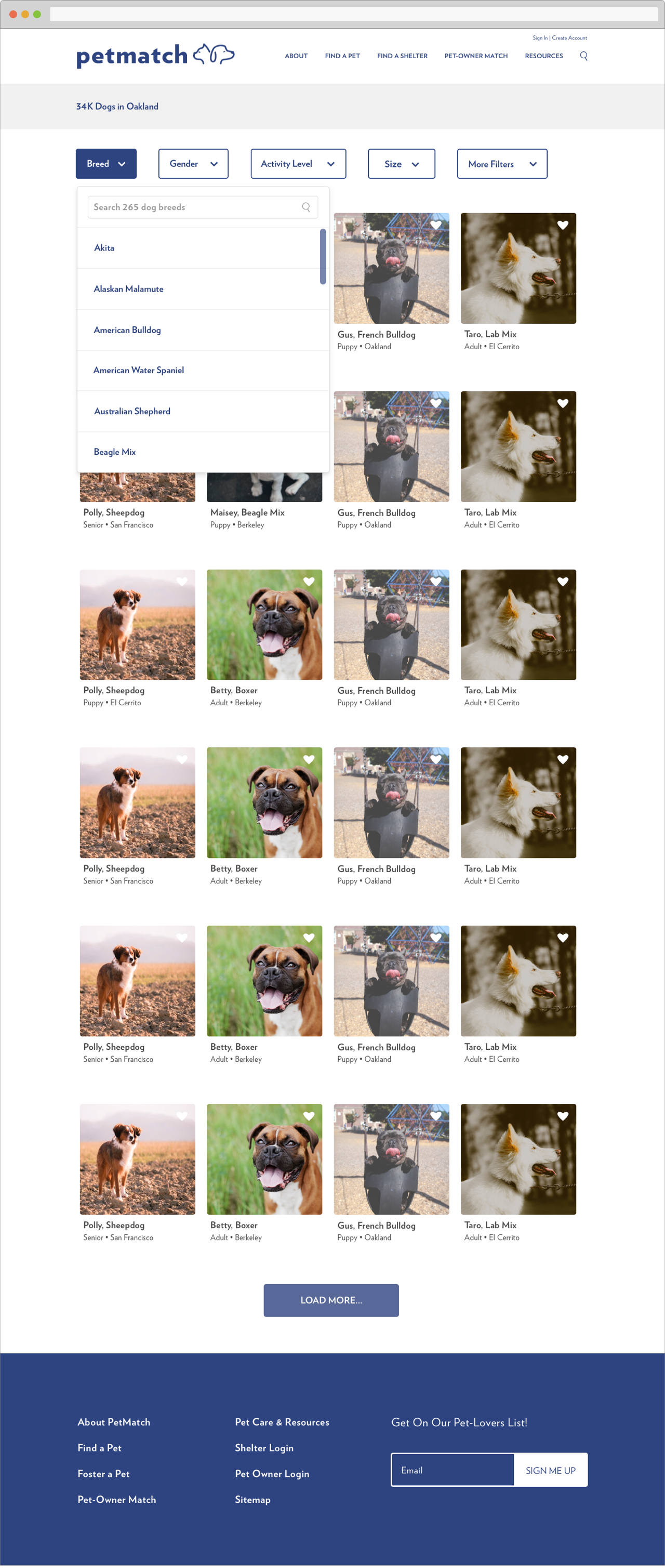 PetSearchDropdown_Mock.png