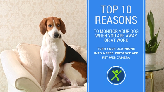 Top 10 Reasons to have a Presence Pet Camera