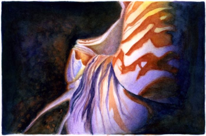 nautilus ws.jpg