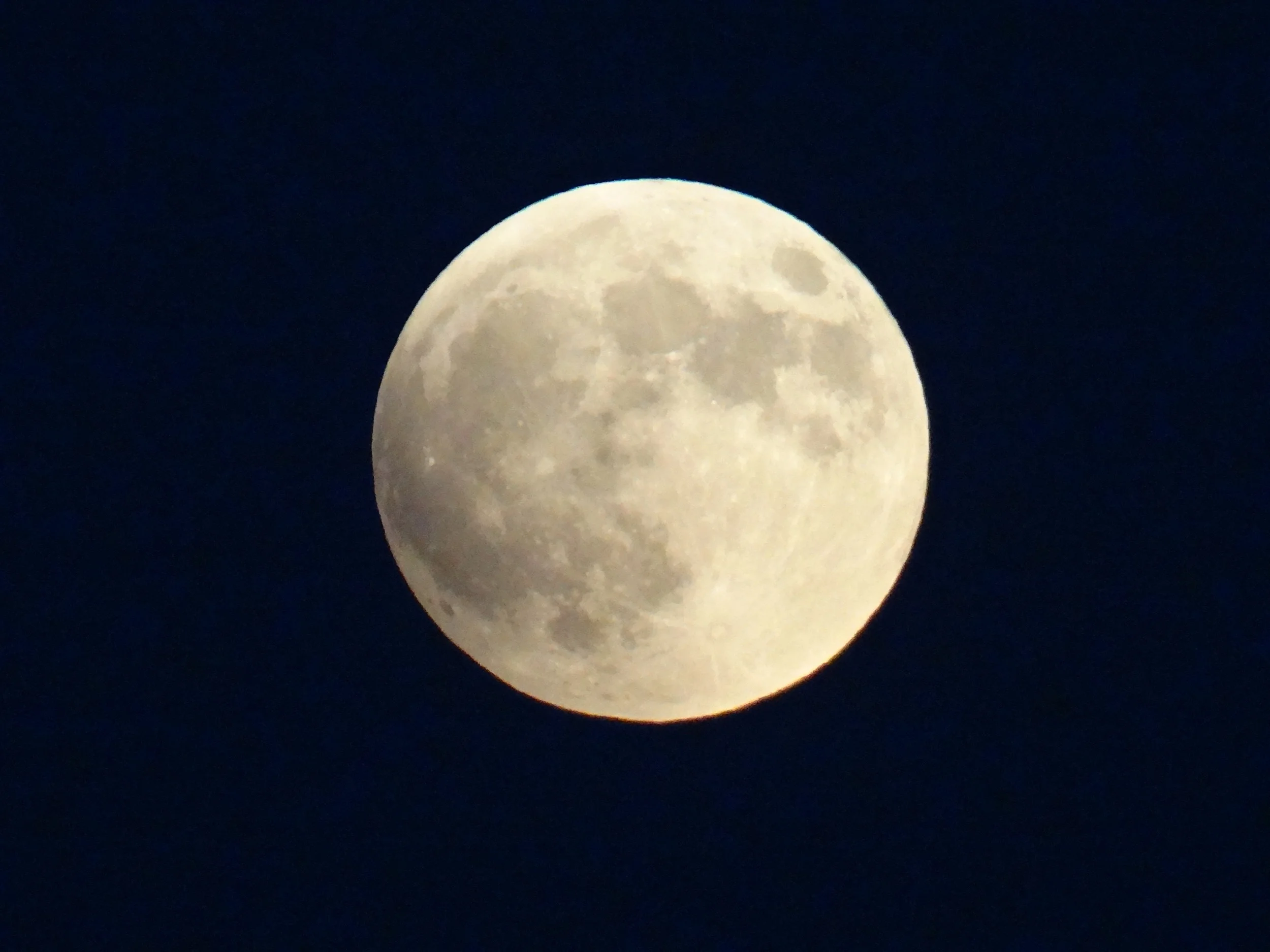 DSC01800.JPG