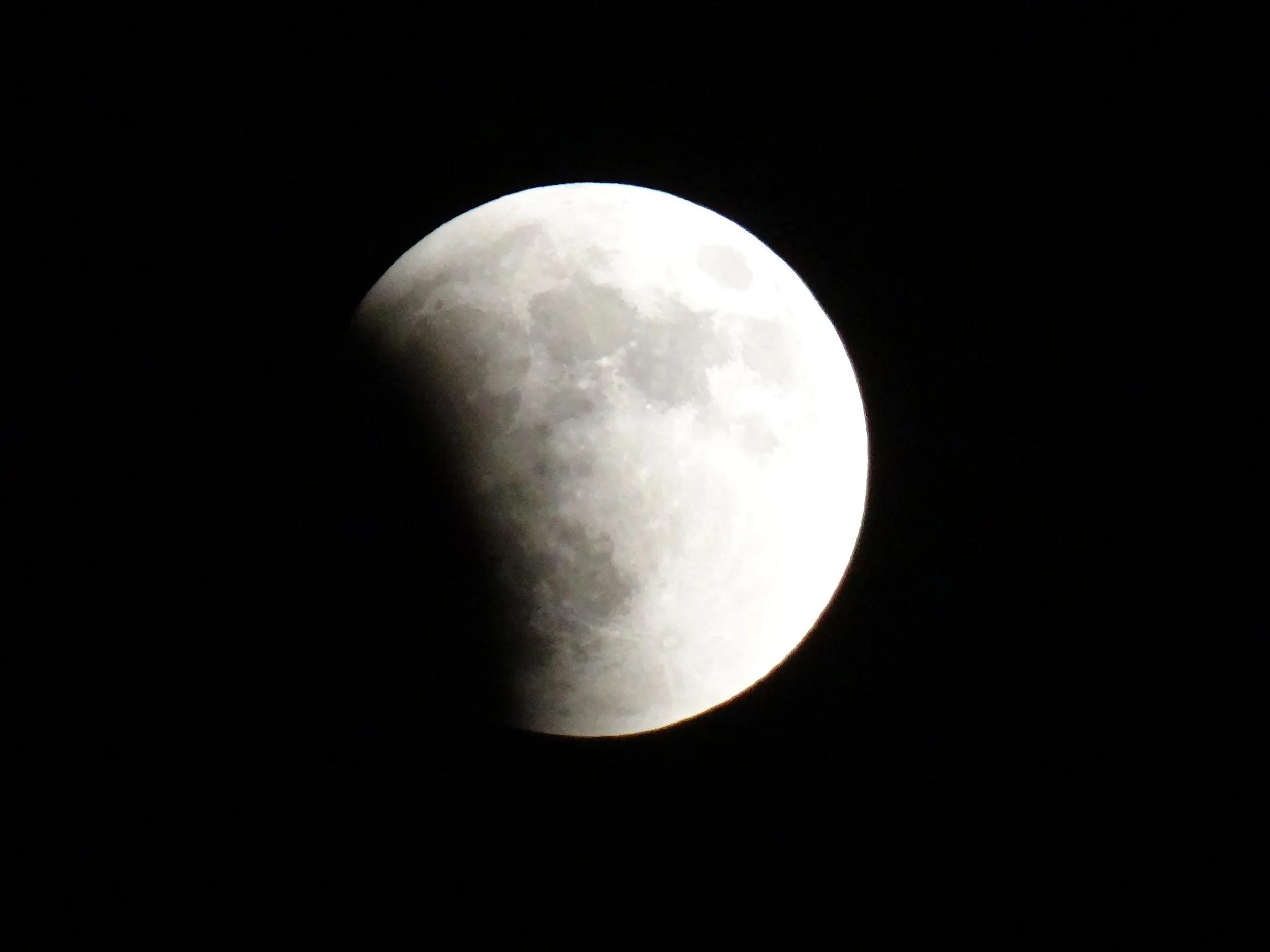 DSC01815.JPG