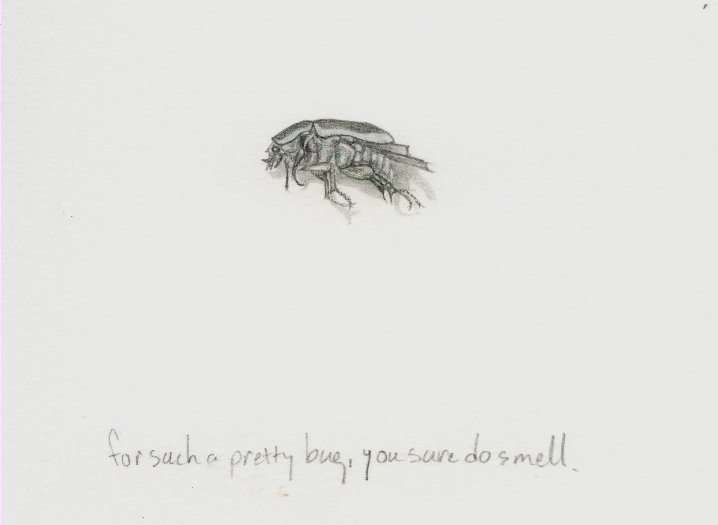 big forsuchaprettybug,yousuredosmell.jpg