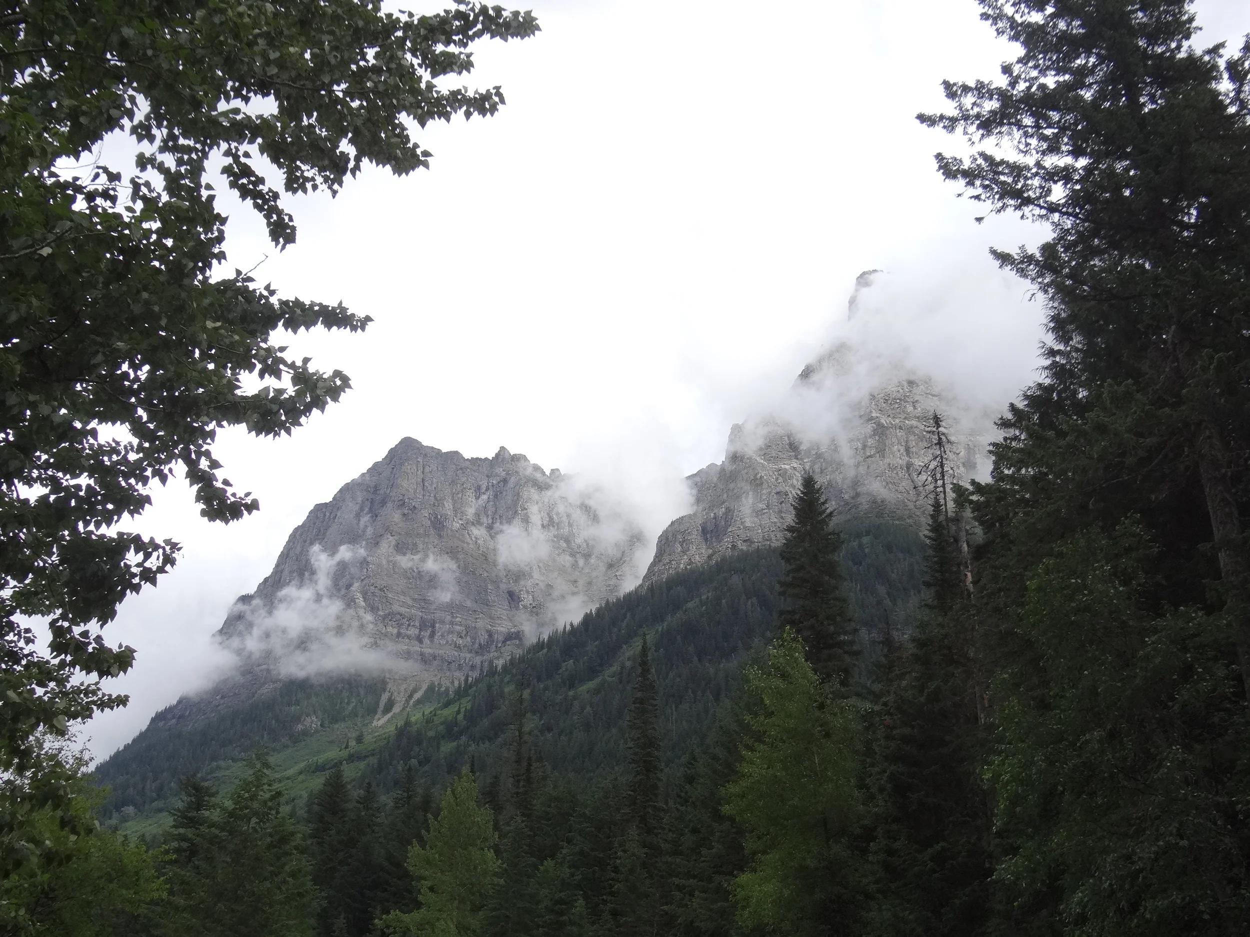 DSC01204.JPG