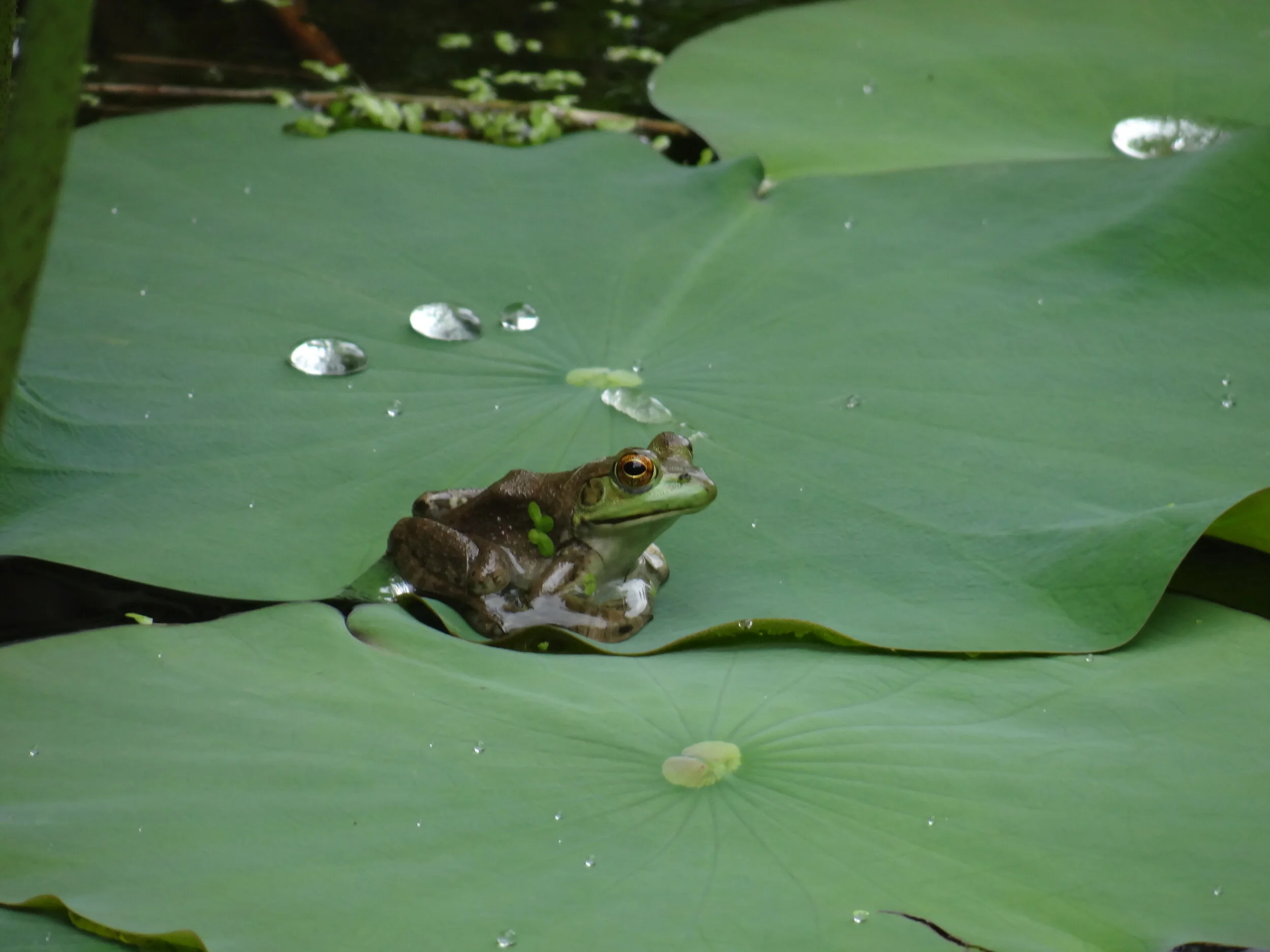 DSC02314.JPG