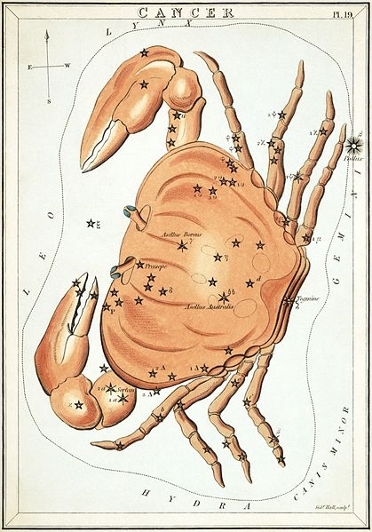 Cancer, urania's Mirror star chart cards (1824)