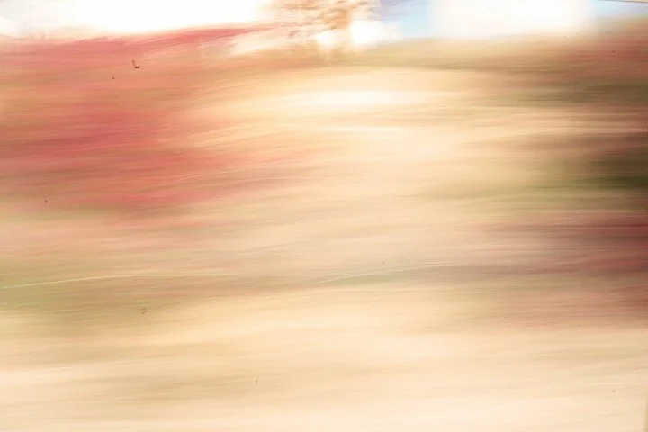 Morning walk along the Pacific coast line.