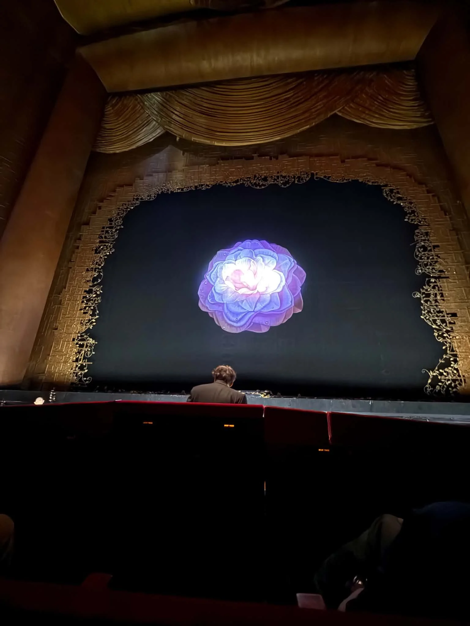 Trinity: Rosa Feola’s New York Violetta Debut