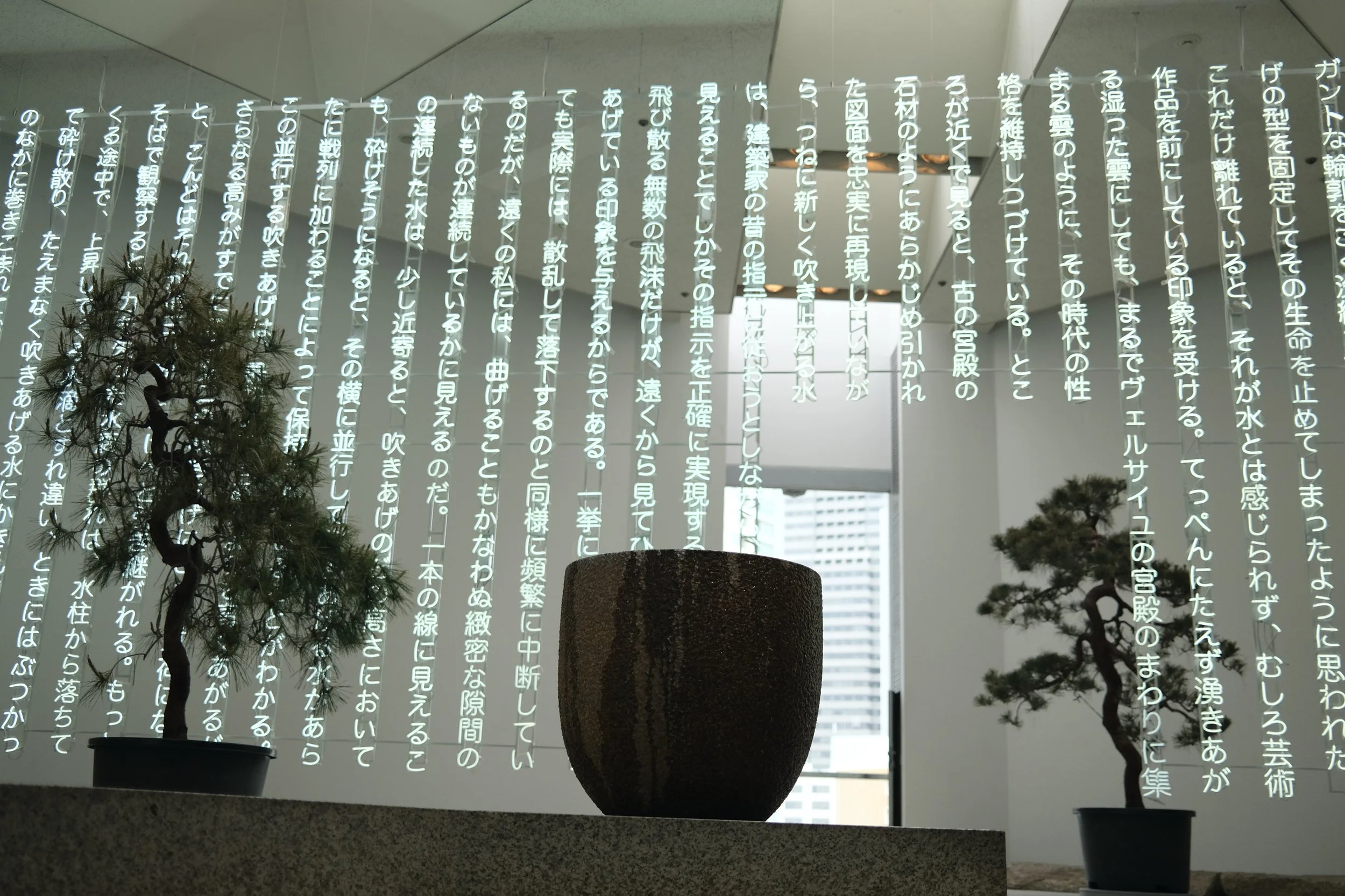 DSCF6506.JPG