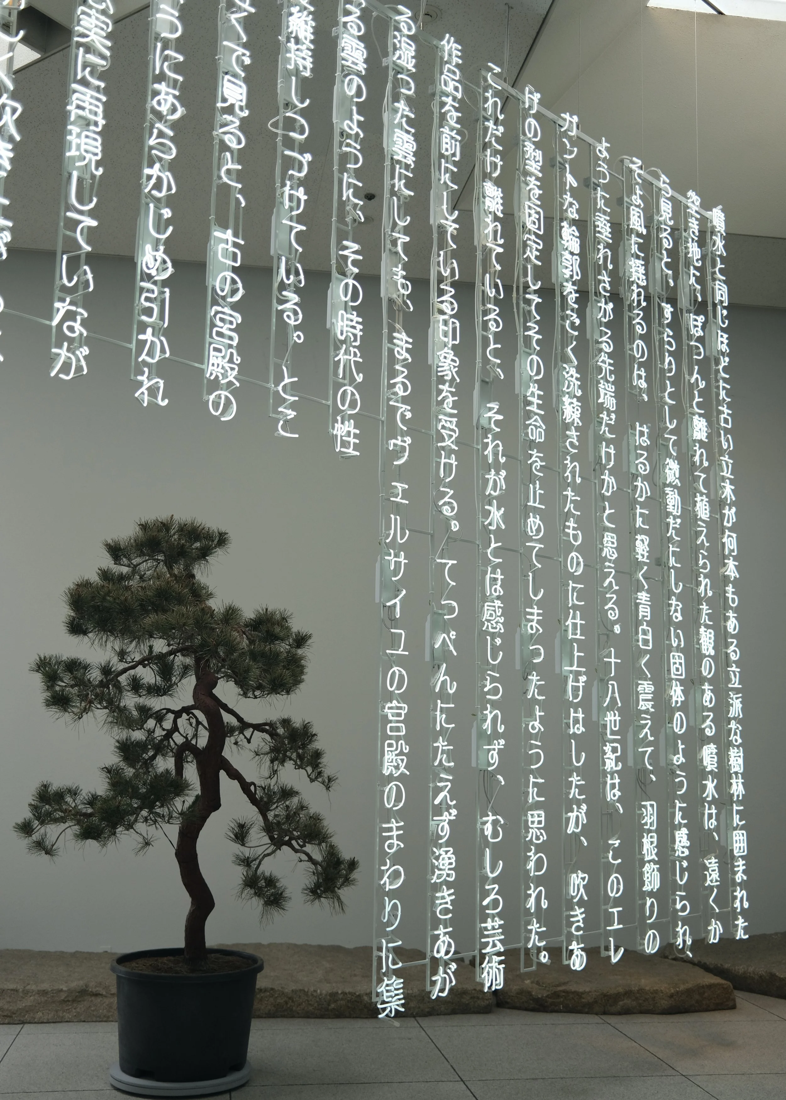 DSCF6513.JPG