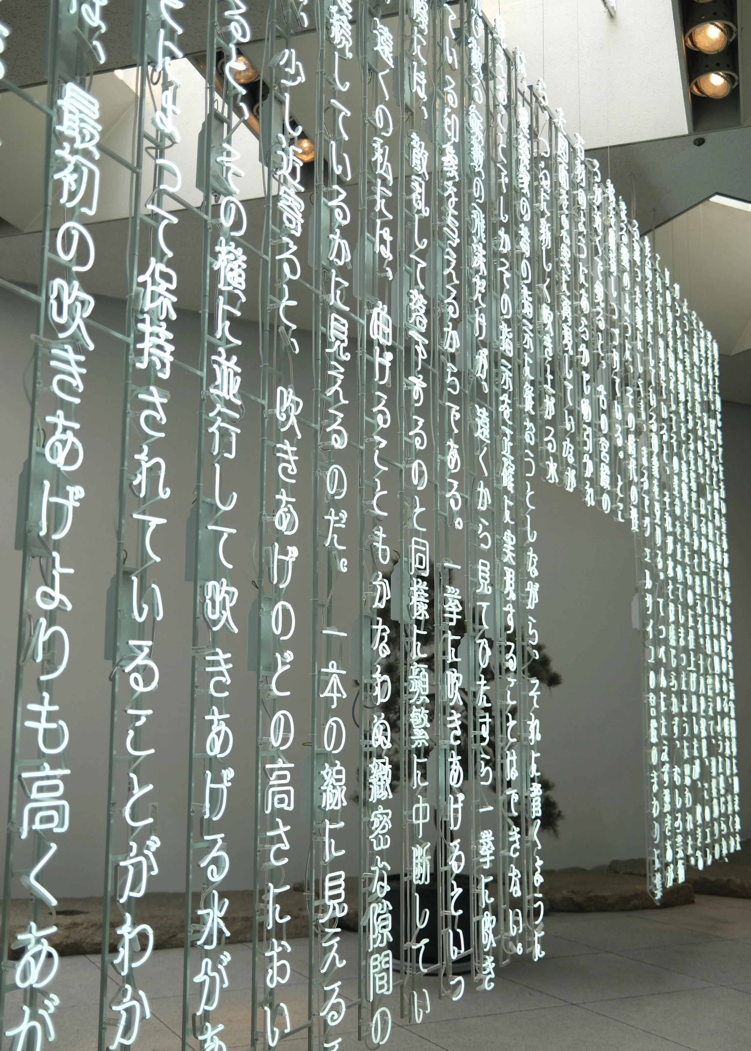 DSCF6515.JPG