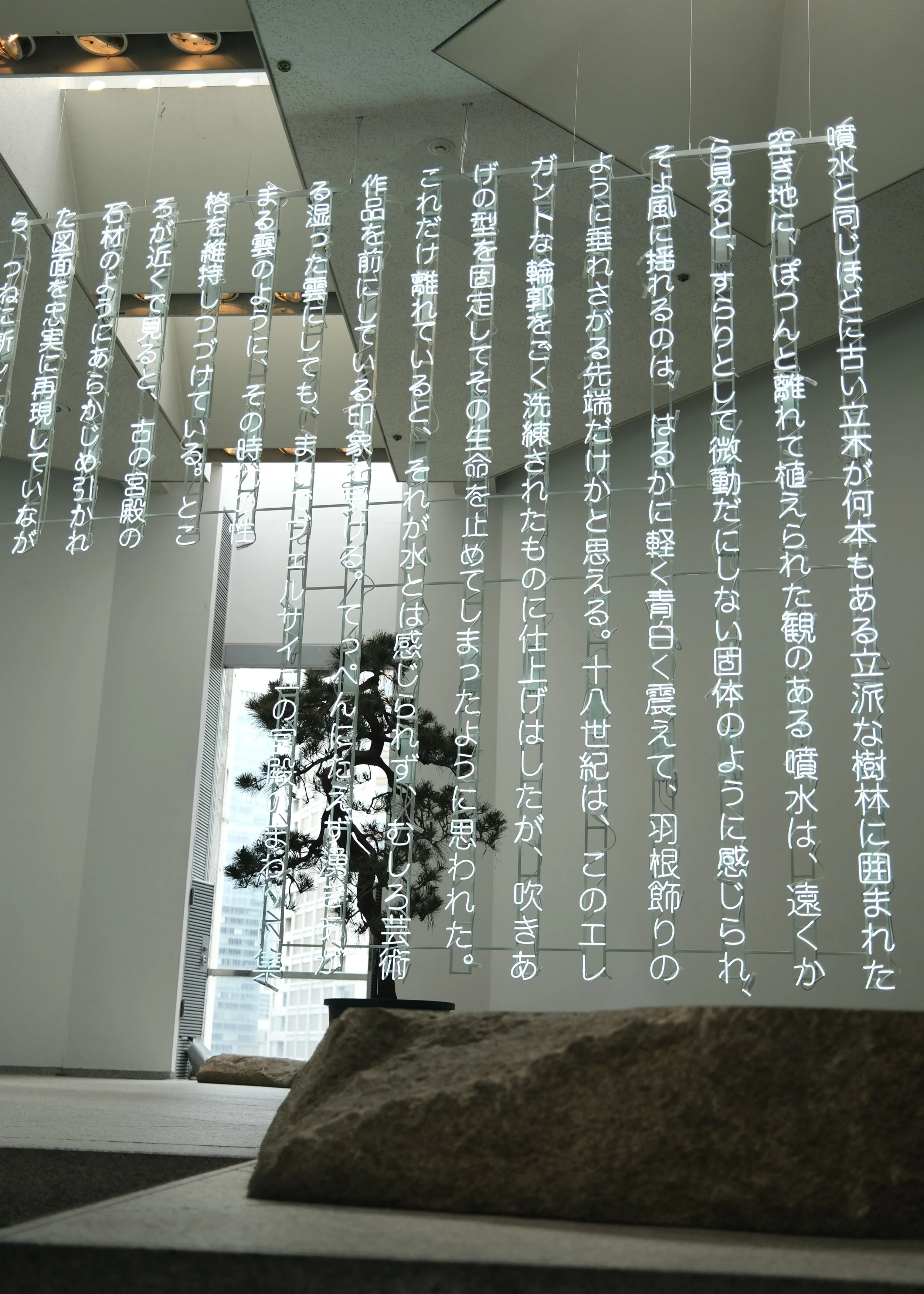 DSCF6523.JPG