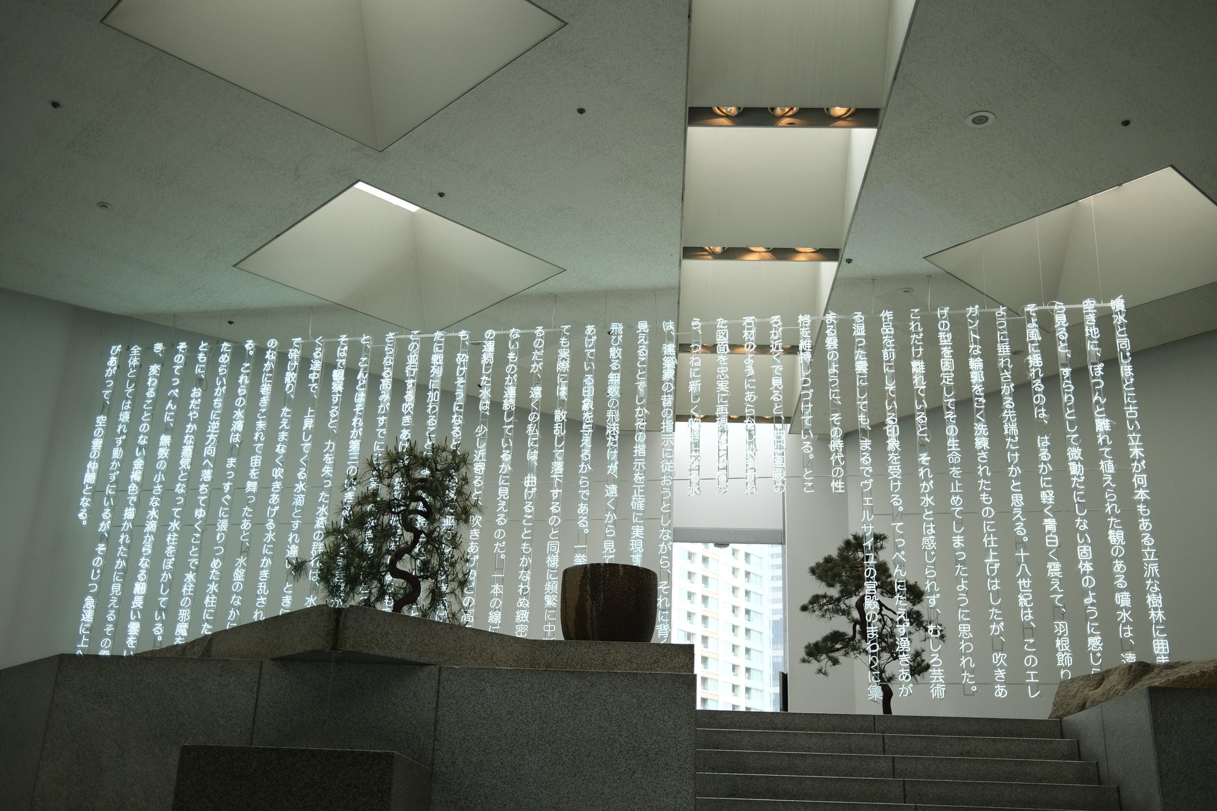 DSCF6528.JPG