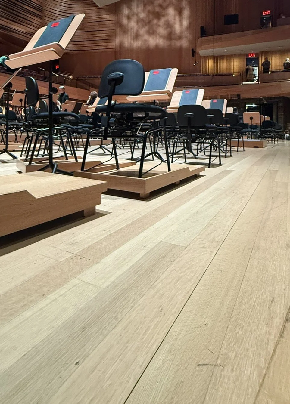 Rainy Mendelssohn