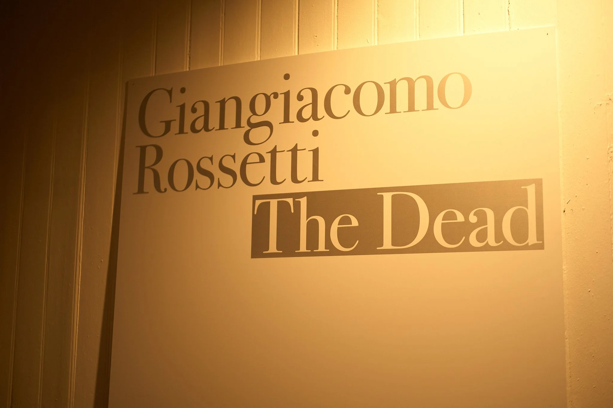 Venezia-Giangiacomo Rossetti-776.jpg