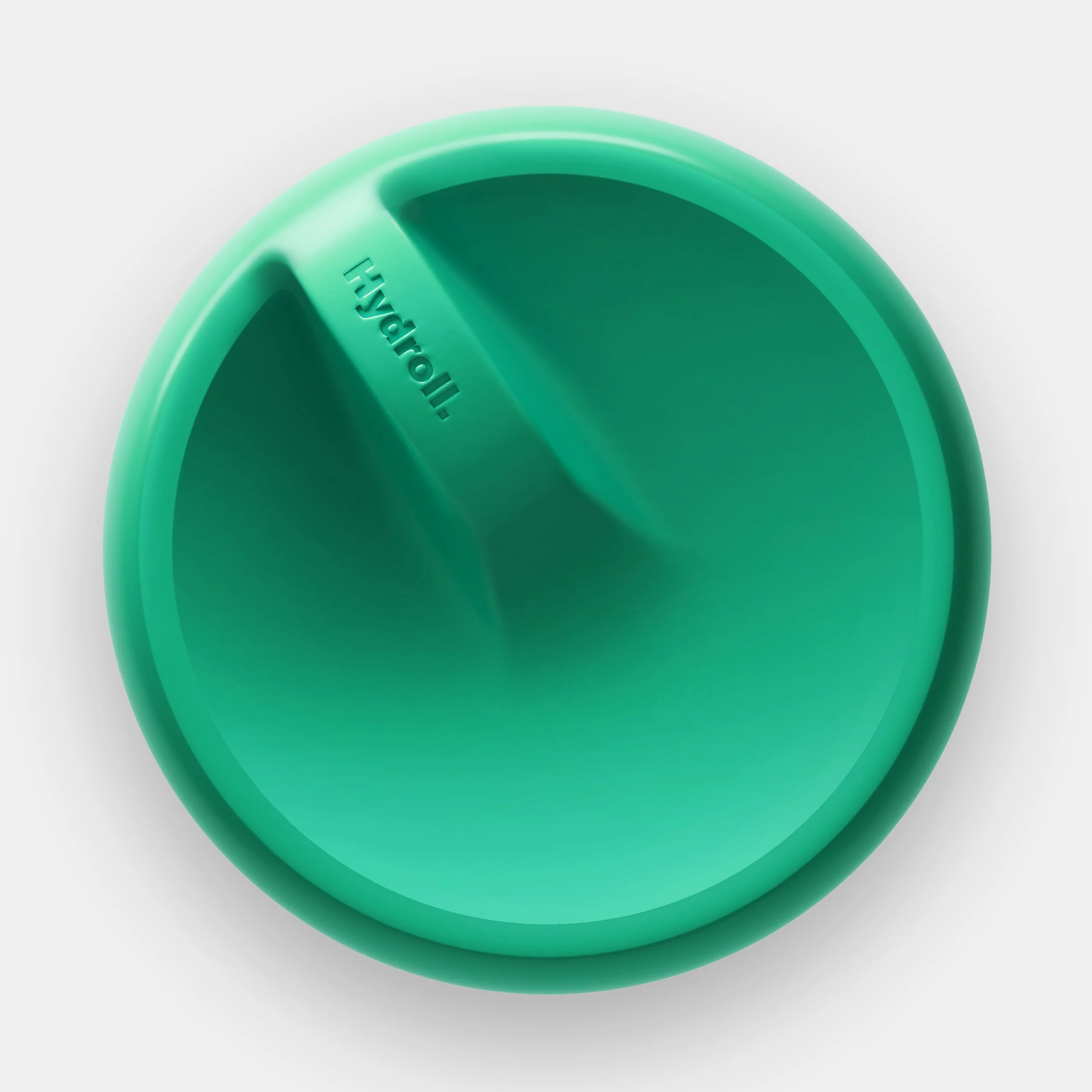 Disc copy.jpg