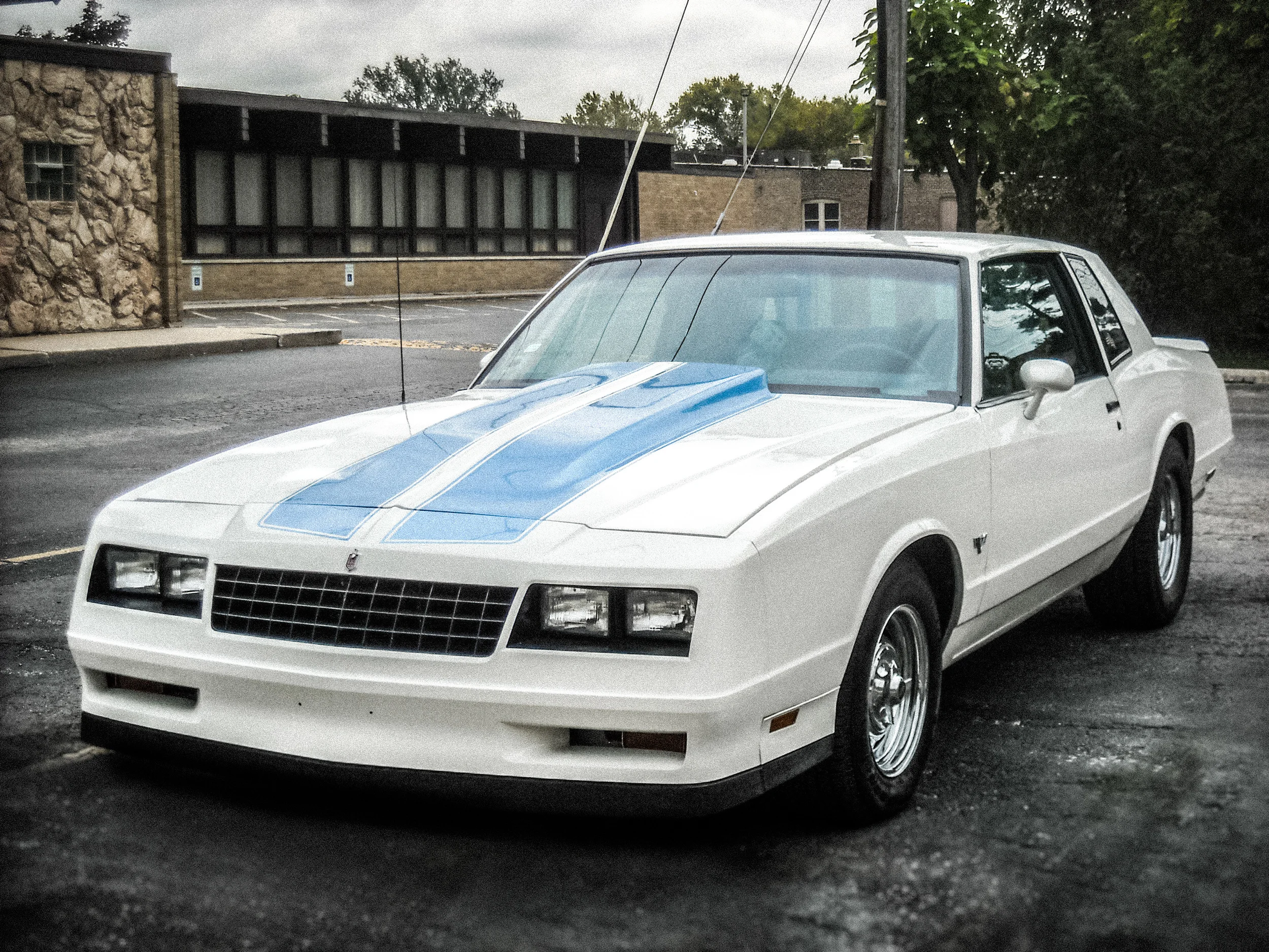 header_middle_white_01.jpg