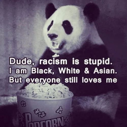 rasist-panda.jpg