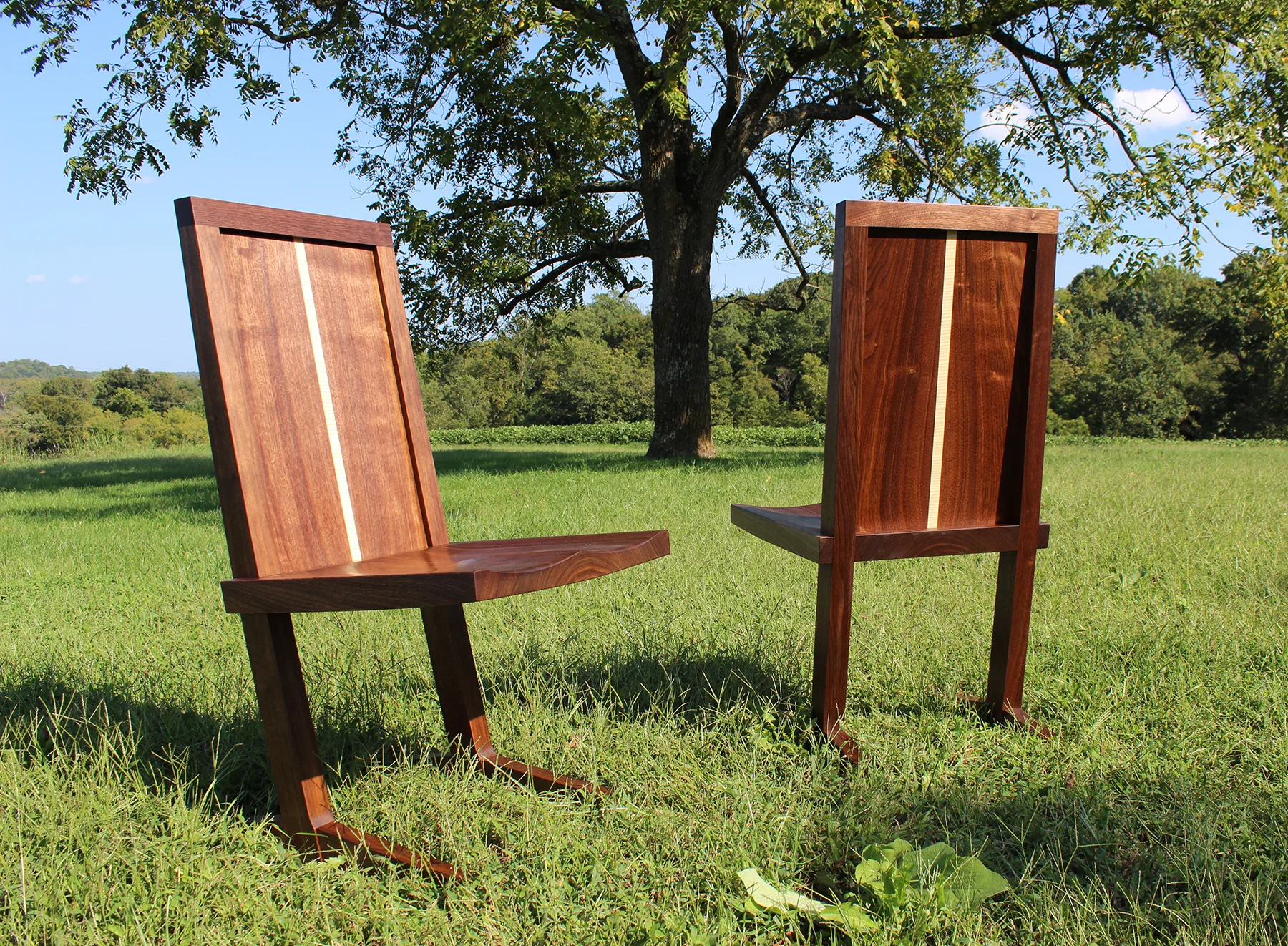 FINISHED (THAT'S A WALNUT TREE)