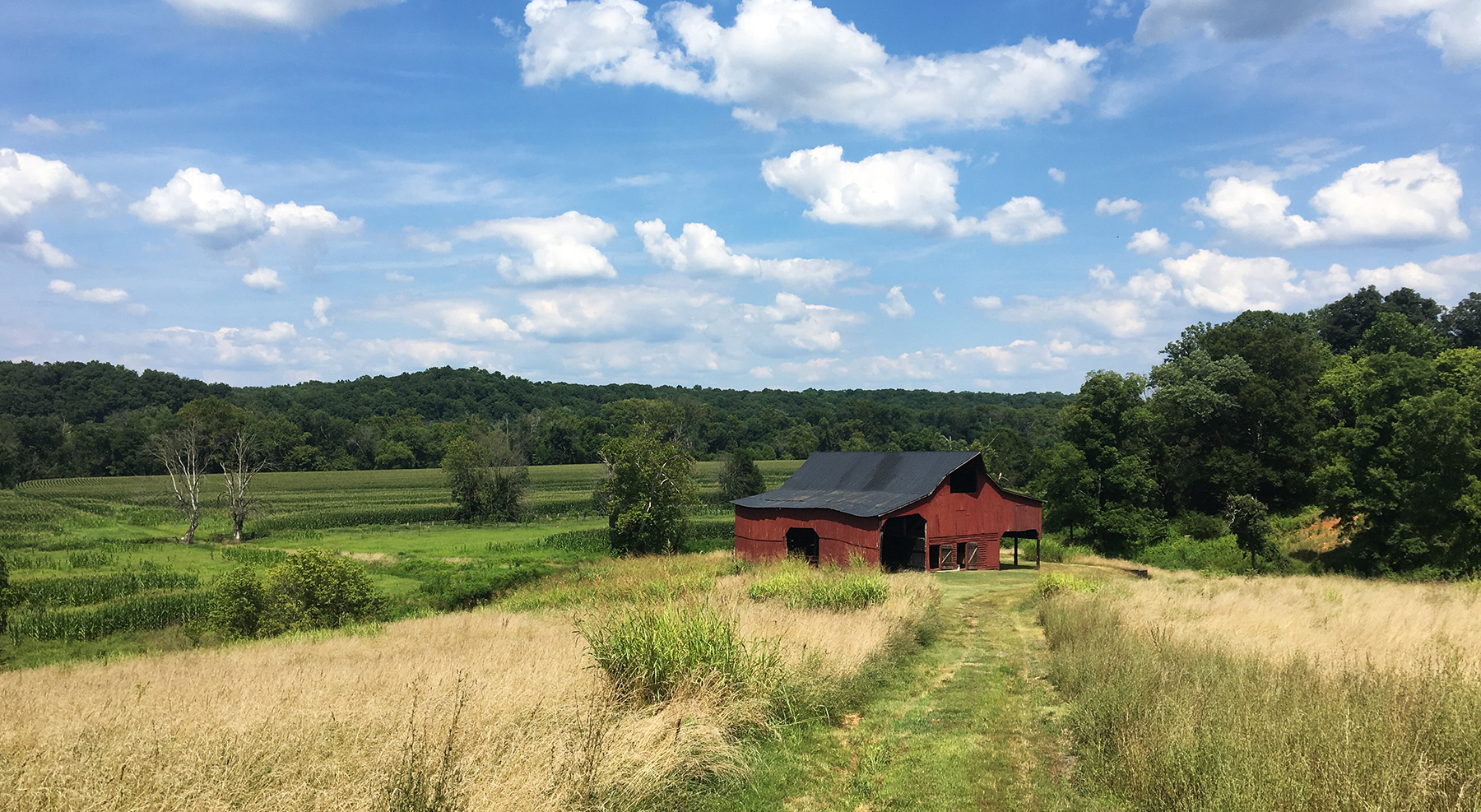 EXISTING BARN WITH FIELDS AND JAMES RIVER BEYOND