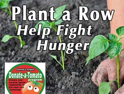 Have a home garden? Plant an extra row for Gemma's Angels. Our volunteers will come to you and pickup your donation. Click here.