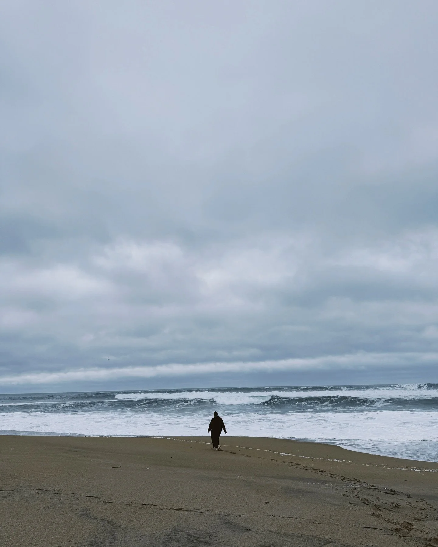 The last few months?

Bonkers!! Moving. Ocean. Friends. Texts that say &ldquo;how can I help?&rdquo; Therapy. Organizing internally and externally. Overcoming some long held fears. Energy drinks. Cancelling all those fucking memberships that support 