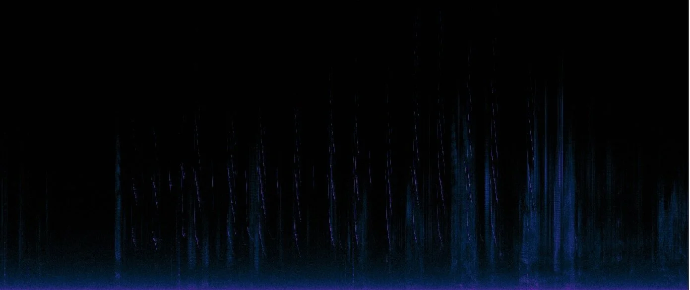baird_whistle_spectrogram.jpg