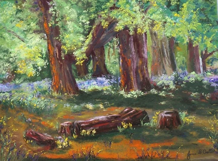   SIZE  23.5" x 17.5"  Framed in museum glass 