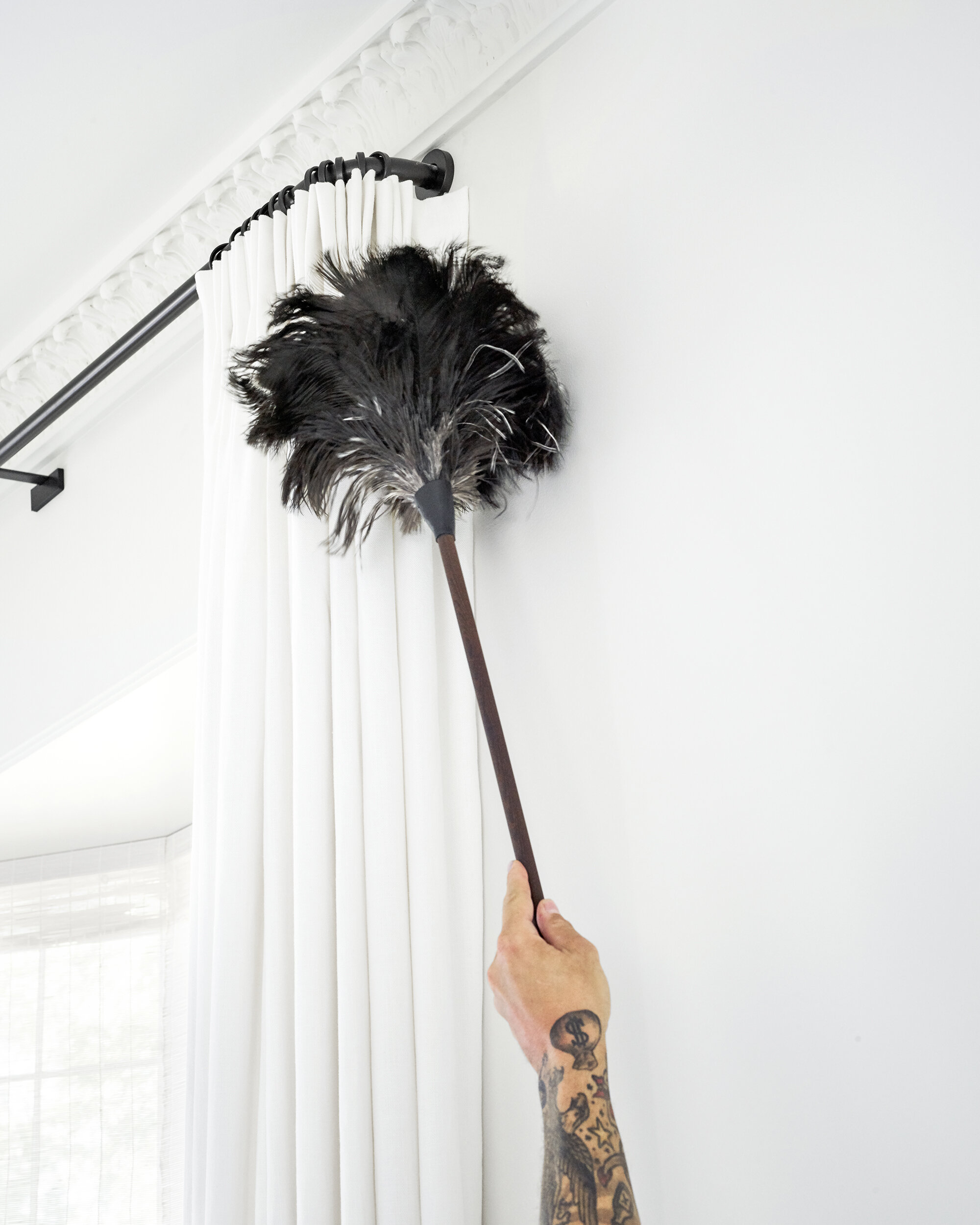 FEATHER DUSTER.jpg