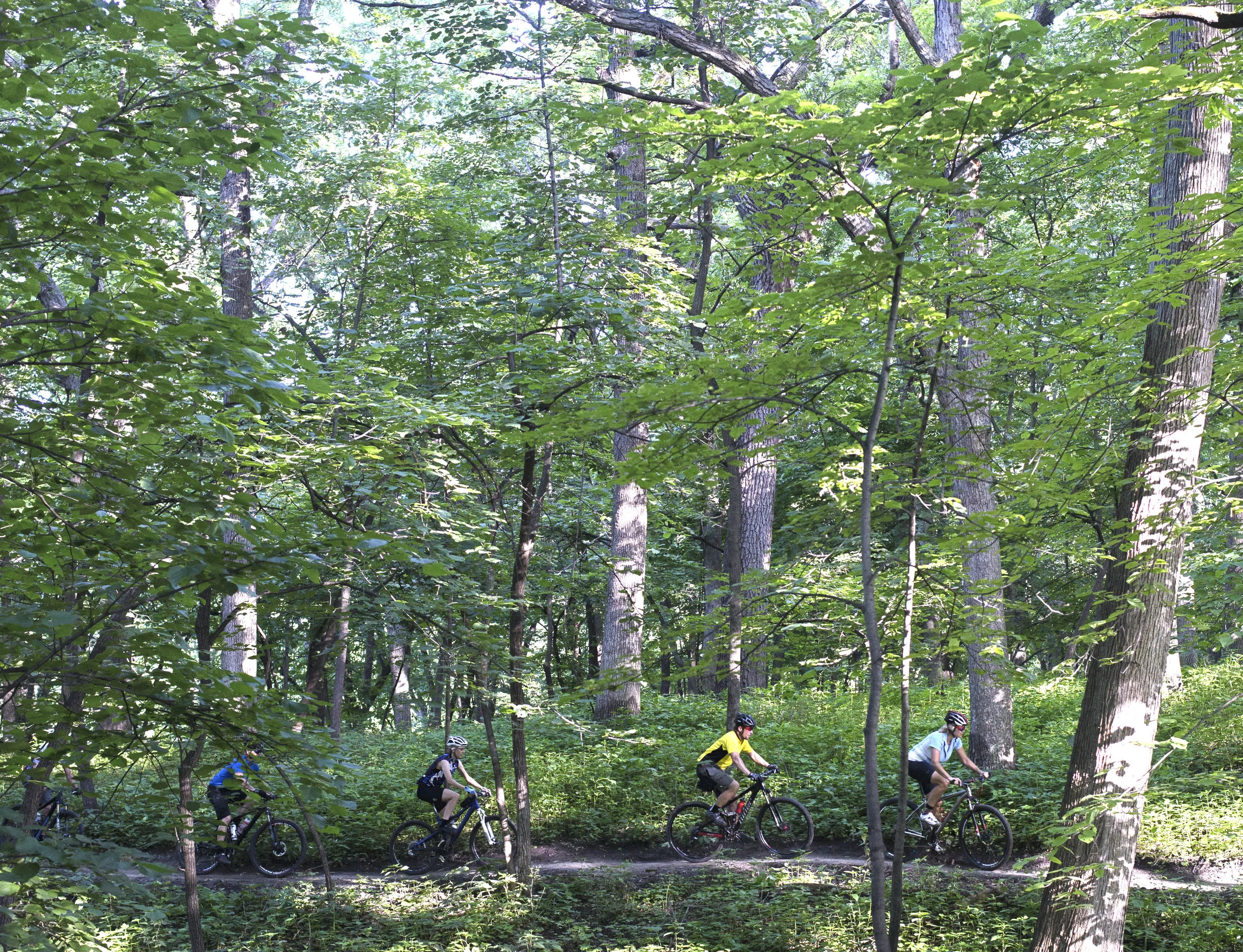 Central Iowa Trail Association Cita