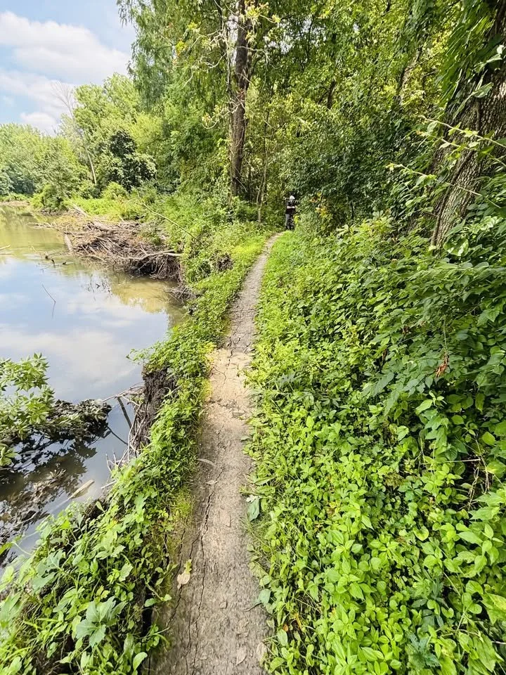 Denman's Trail Maintenance Day - Canceled Due to Wet Conditions