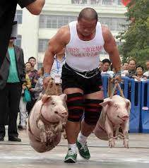 Bringin' home the bacon ...