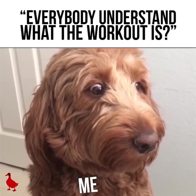 How often do you feel like this? What’s the Workout?