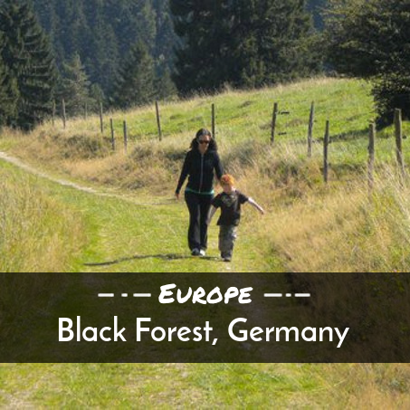 Black-Forest-Germany-Europe.png