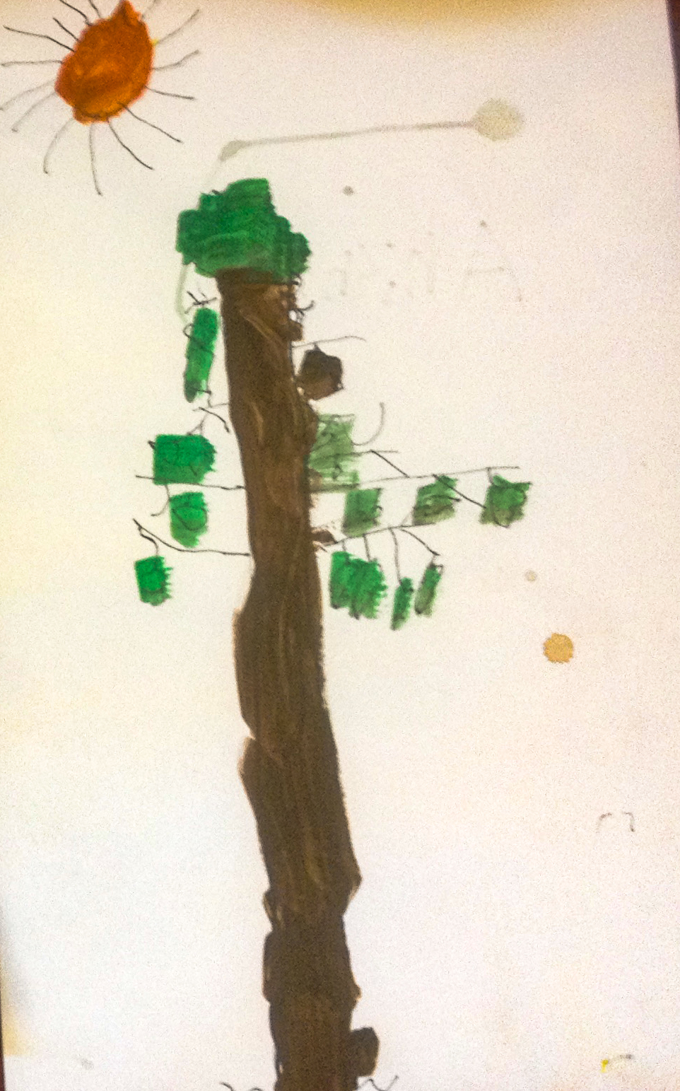 tree-2.jpg