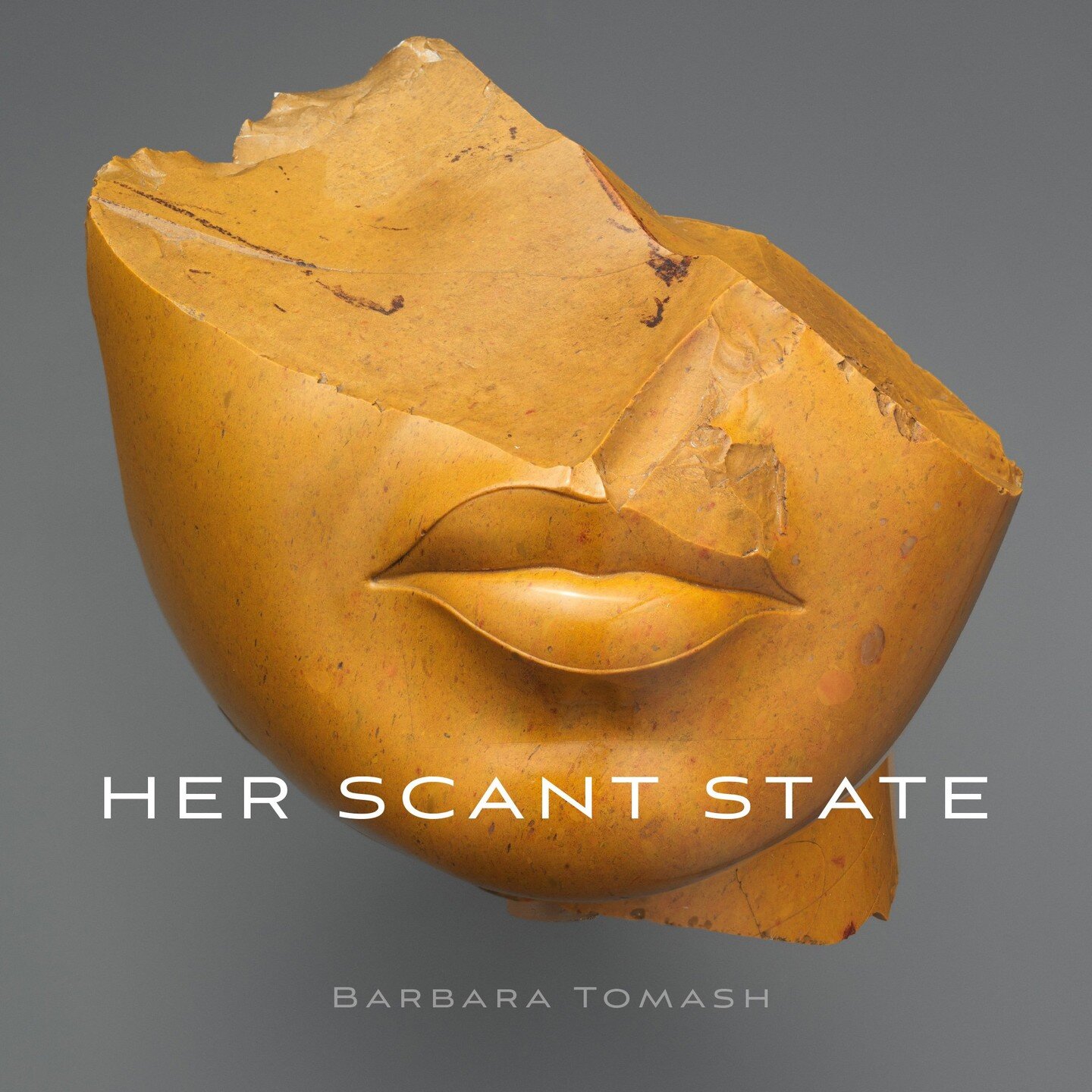 🎉 one week til pub day 🎉 Her Scant State by Barbara Tomash comes out 3/1! 📖 Link in bio to order 📚