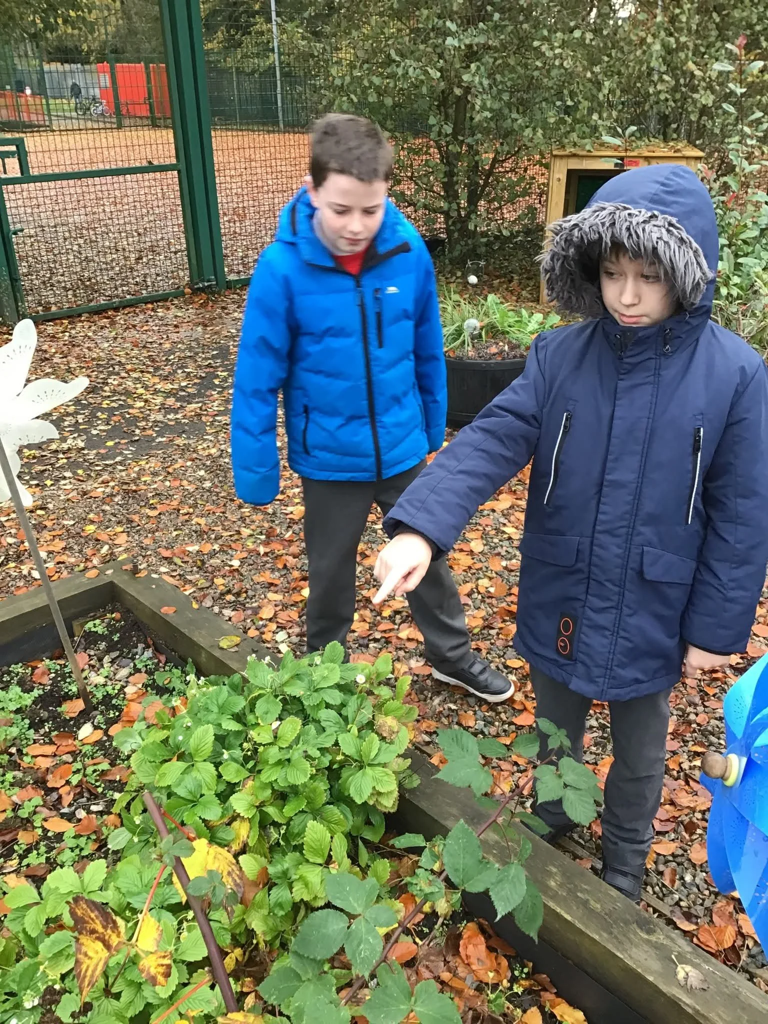 Outdoor learning in LSC2!