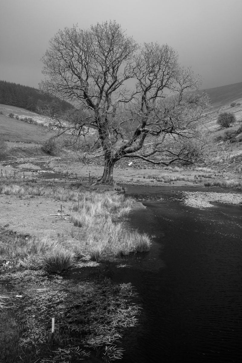 Brecon Beacons landscape 1