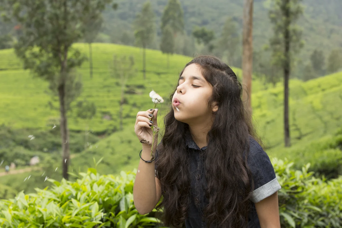 Kerala-12.jpg