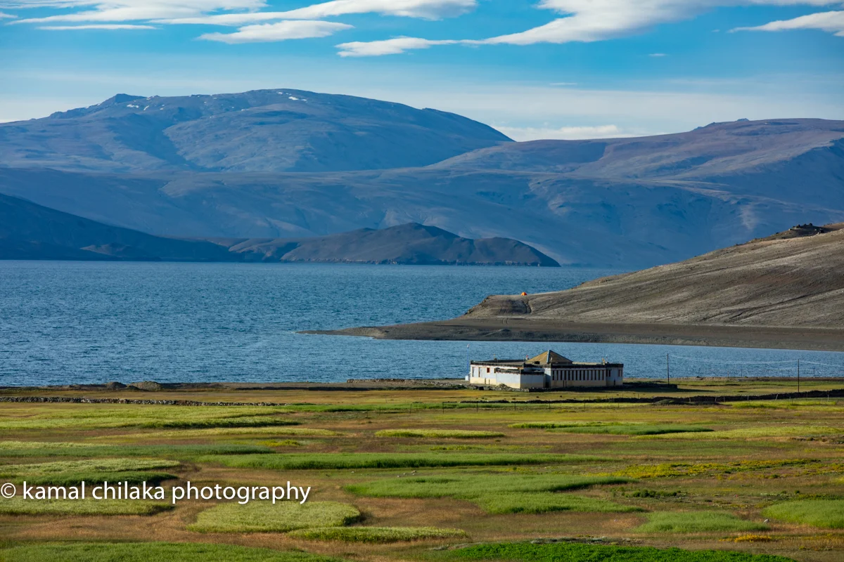 Tso Moriri at Dawn