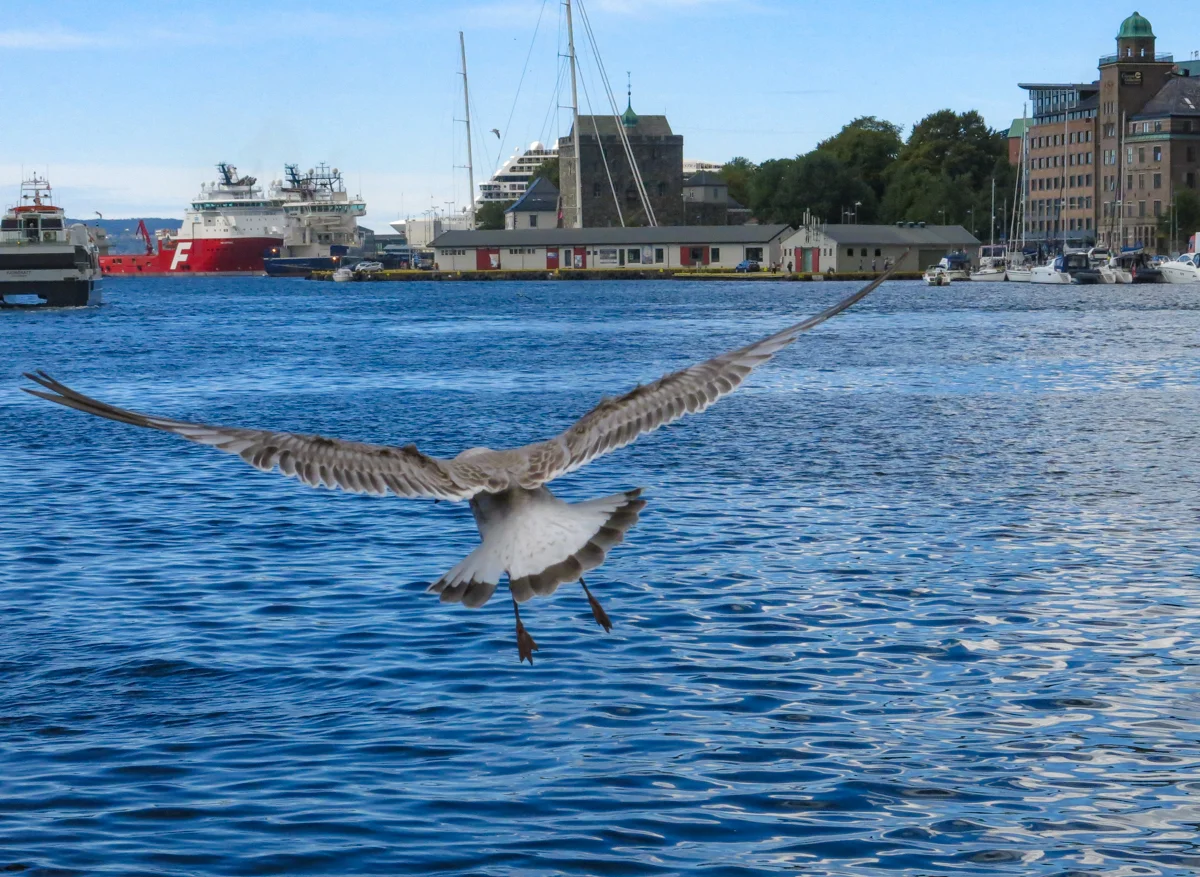 Bergen-2.jpg